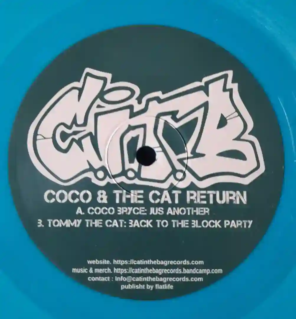 Coco & The Cat Return cover