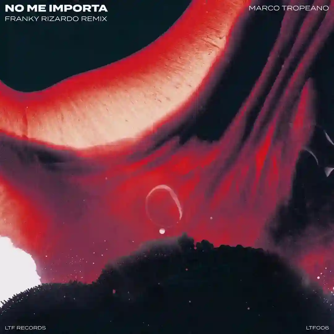 No Me Importa (Franky Rizardo Remix) cover