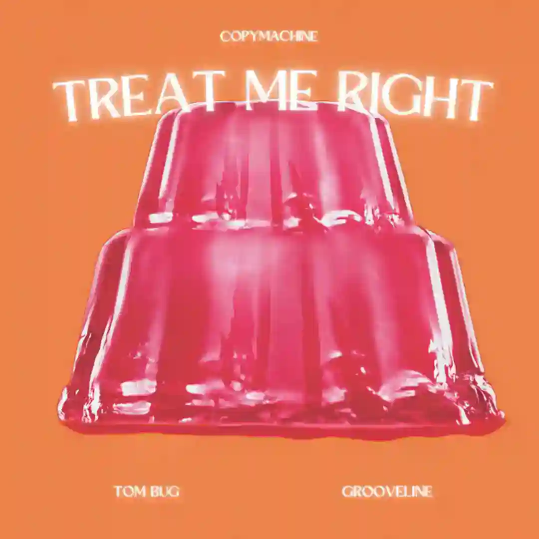 Treat Me Right (Franck Roger Remix) cover