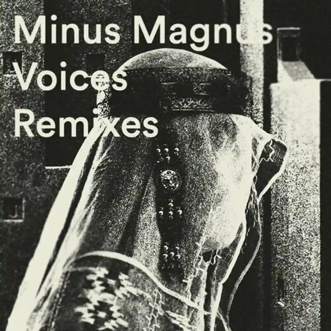 Freedom Access (Tracing Xircles Remix) cover