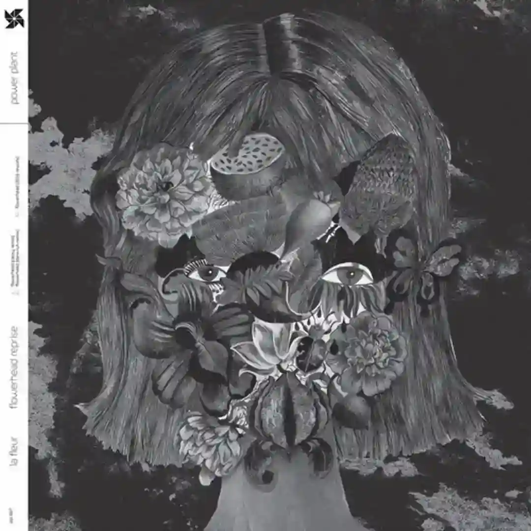 Flowerhead (Cassy Remix) cover