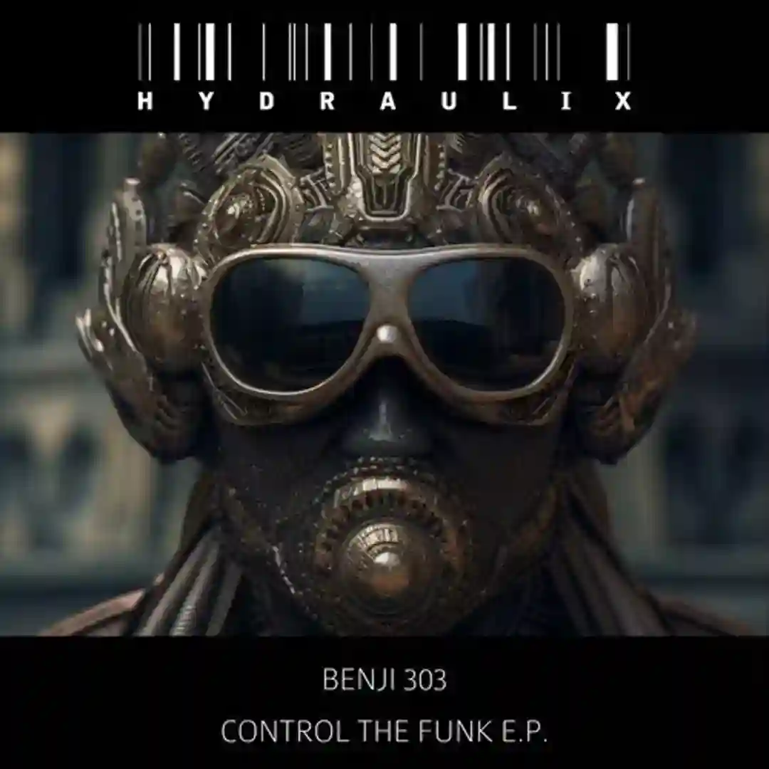 Control The Funk cover