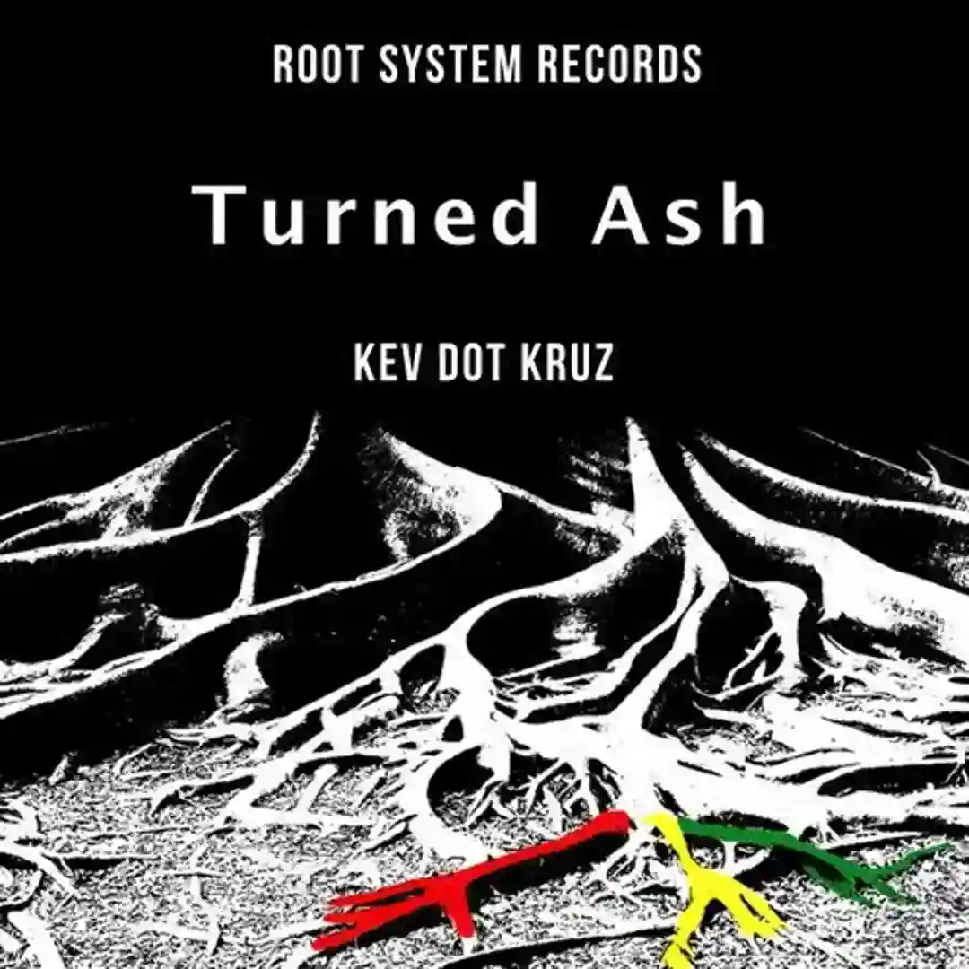 Turned Ash cover
