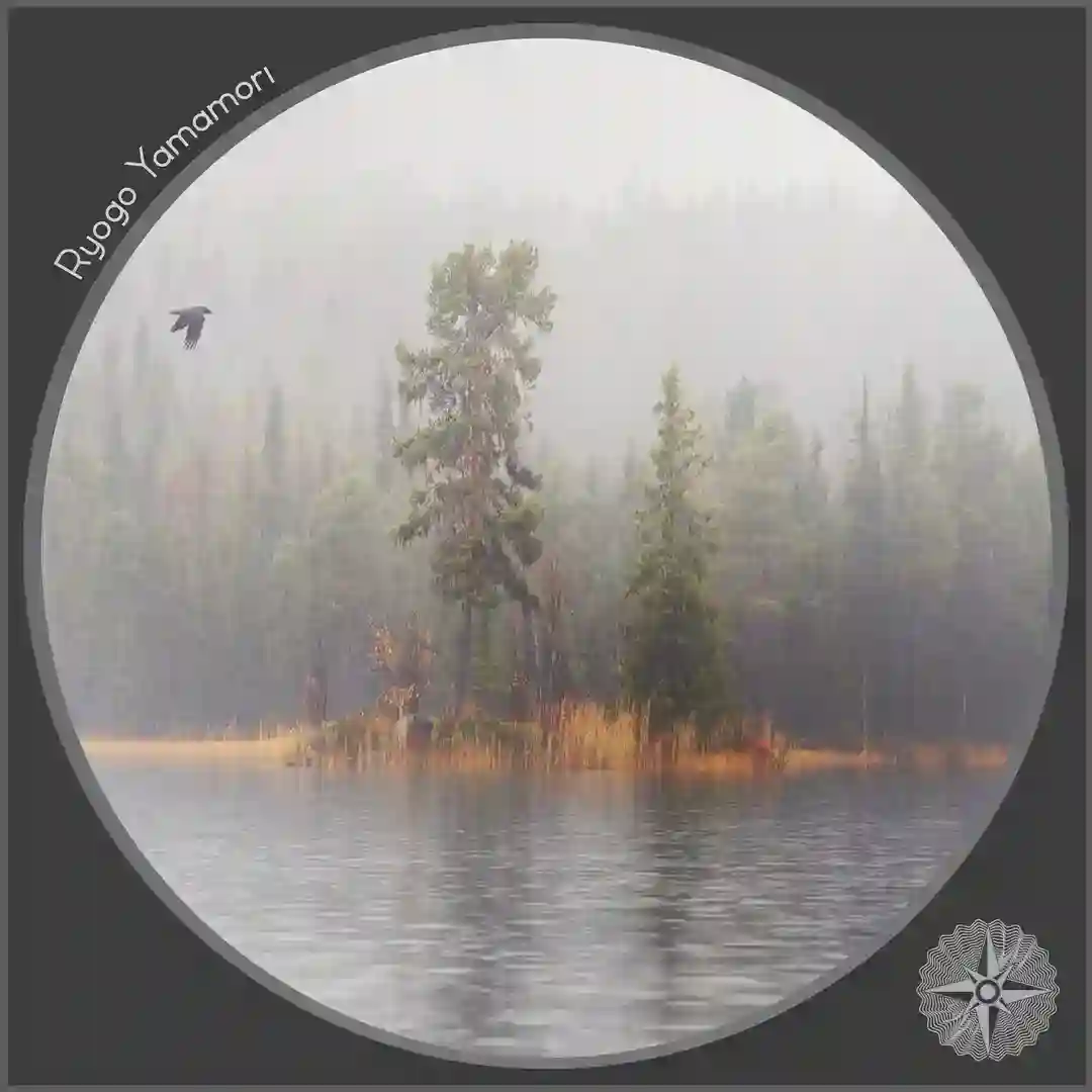 Rainfall (Original Mix) cover