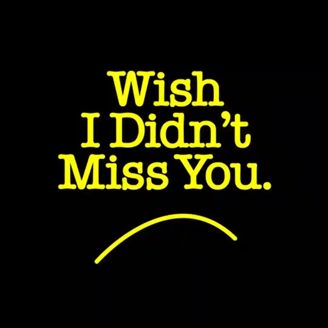 Wish I Didnt Miss You (Extended Mix) cover