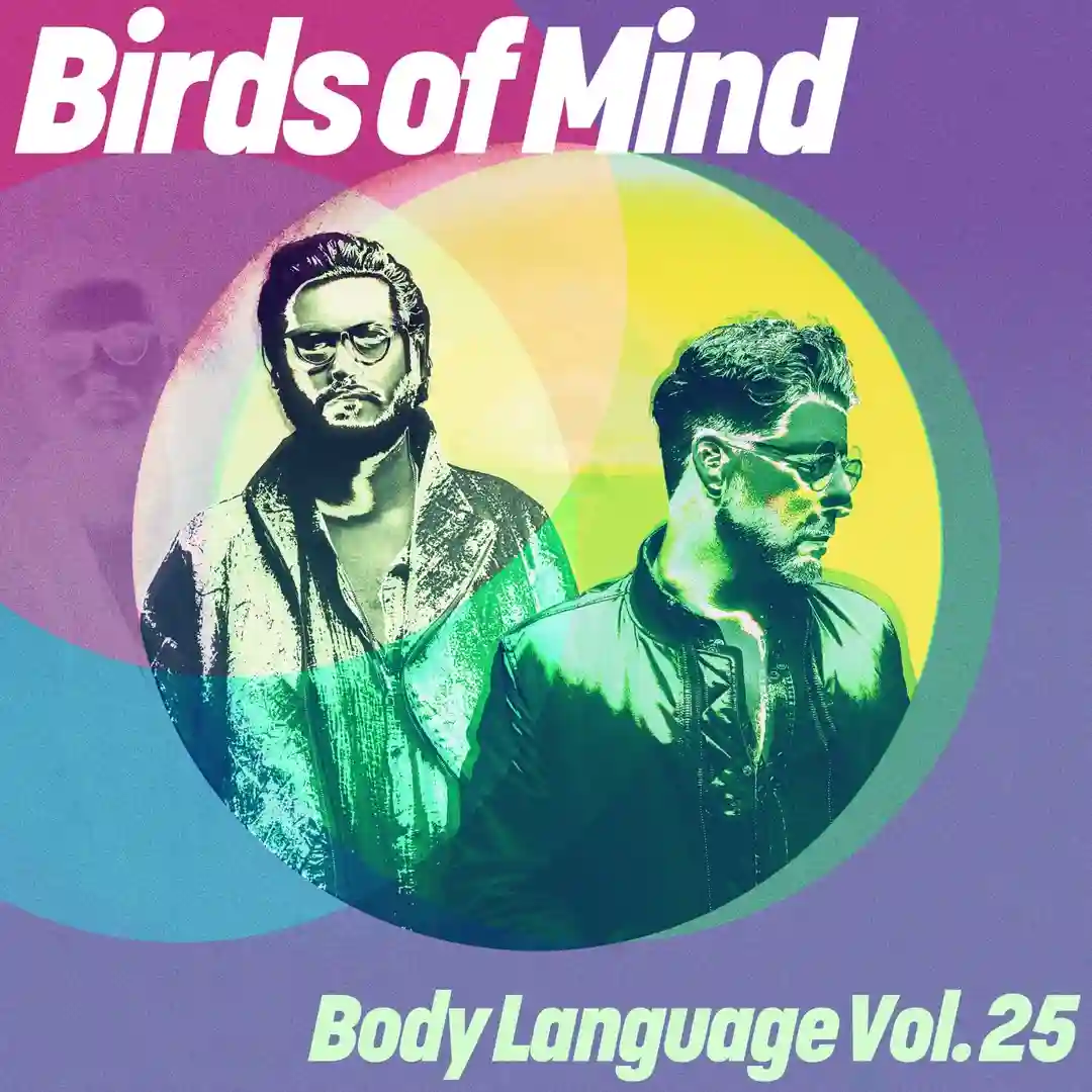 Hi & Low (Birds Of Mind Remix) cover