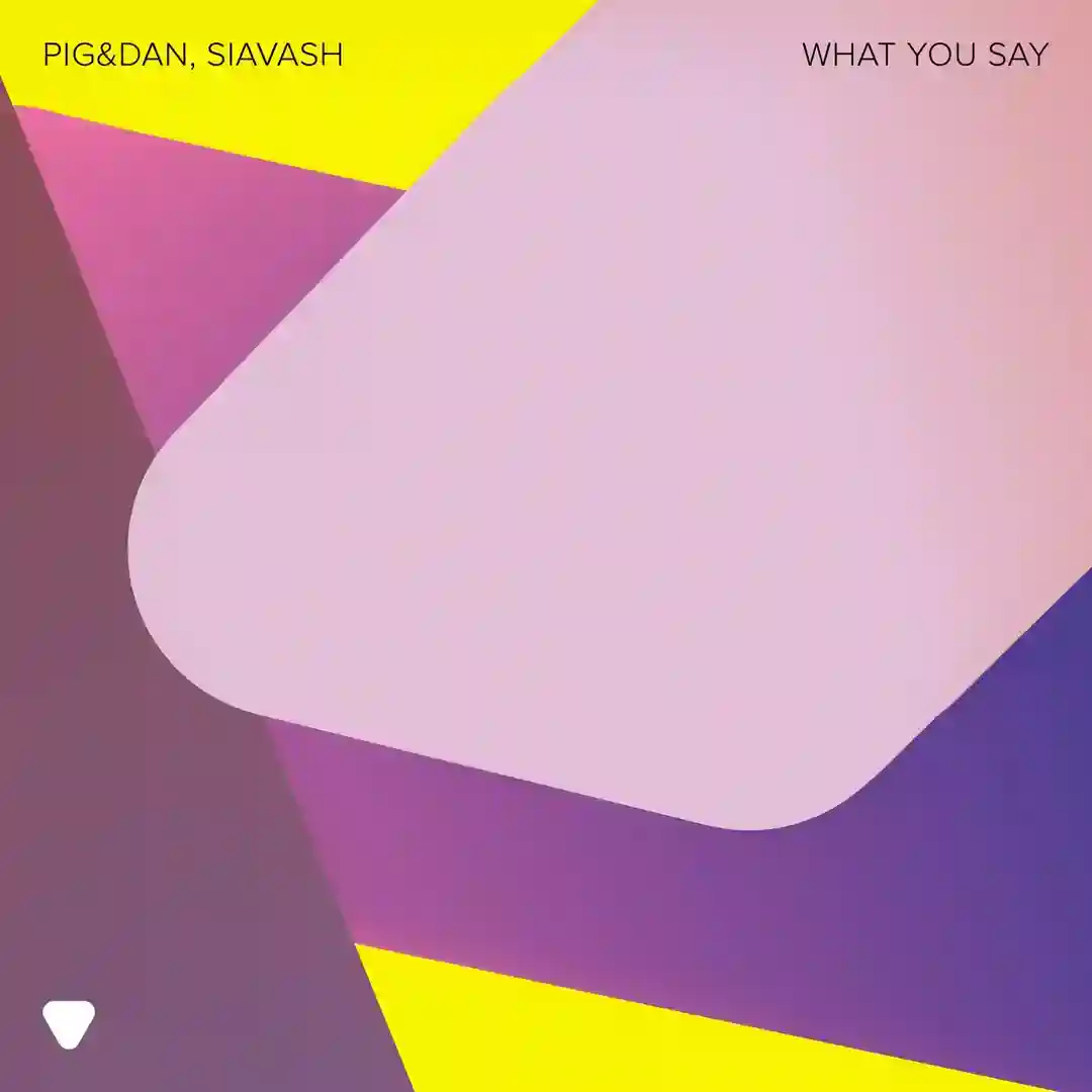 What You Say (Extended Version) (Extended Version) cover