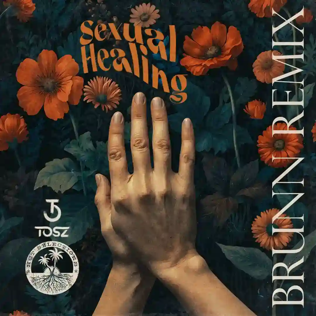 Sexual Healing (Extended BRUNN Remix) cover