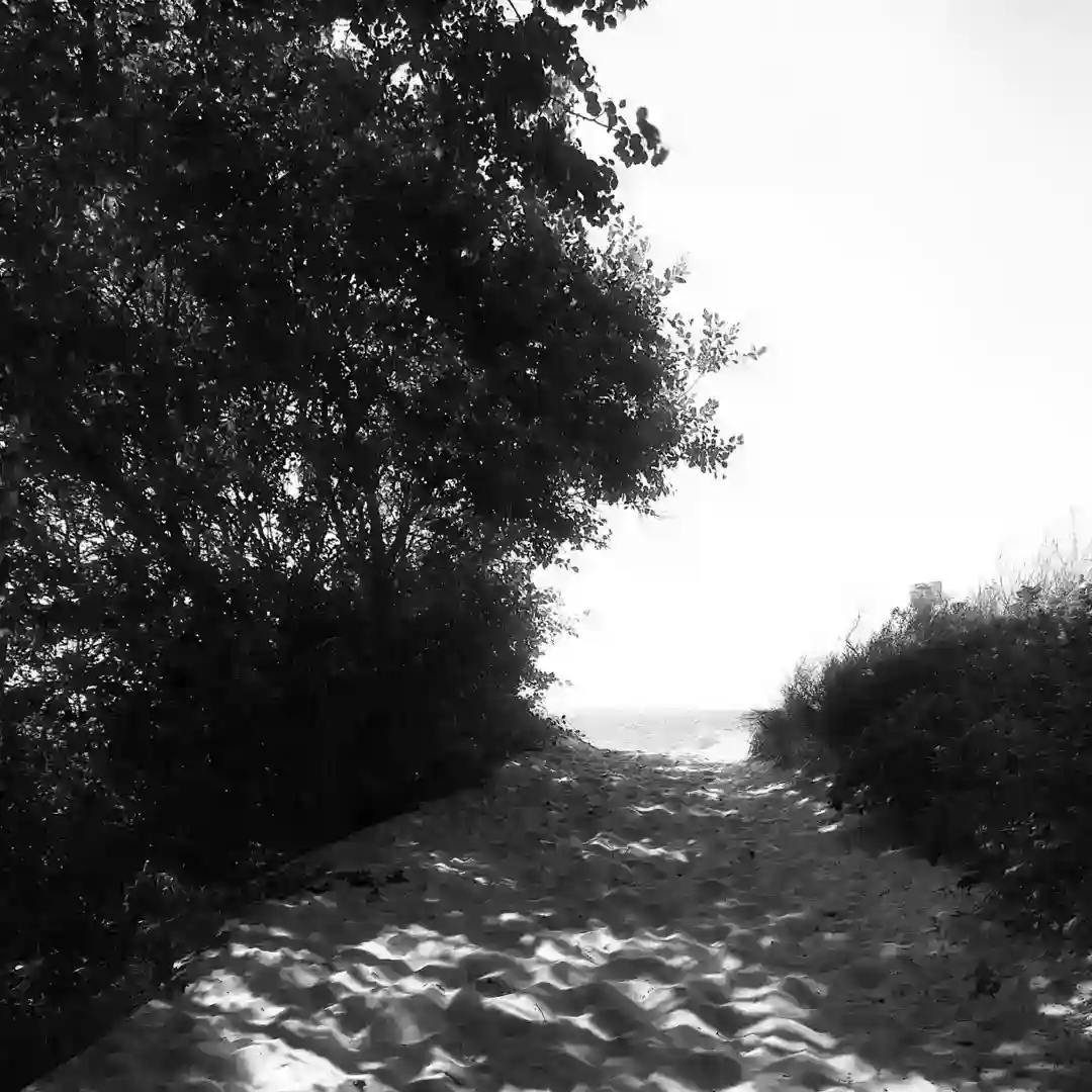 Solitude cover