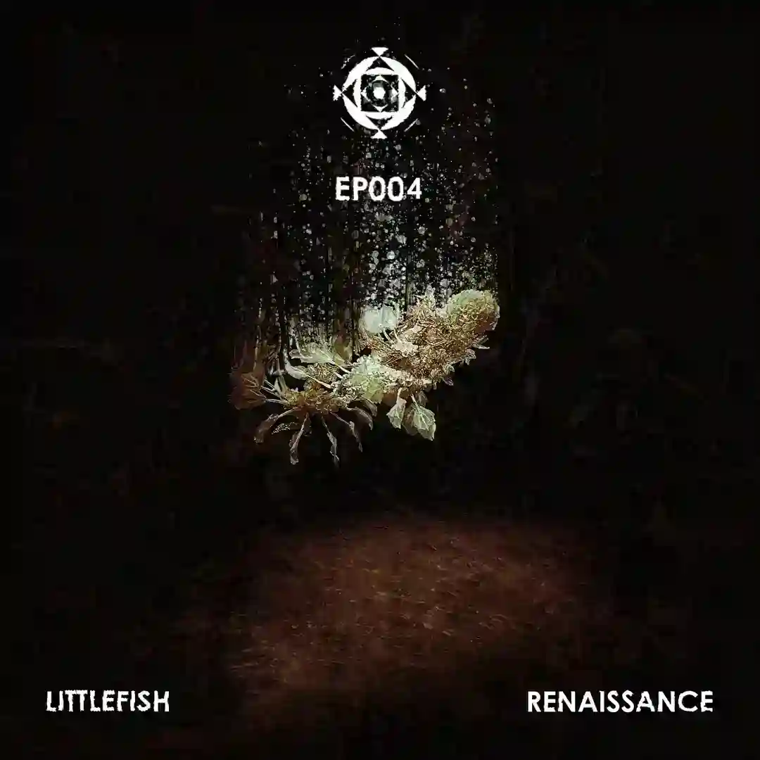 Renaissance (Original Mix) cover