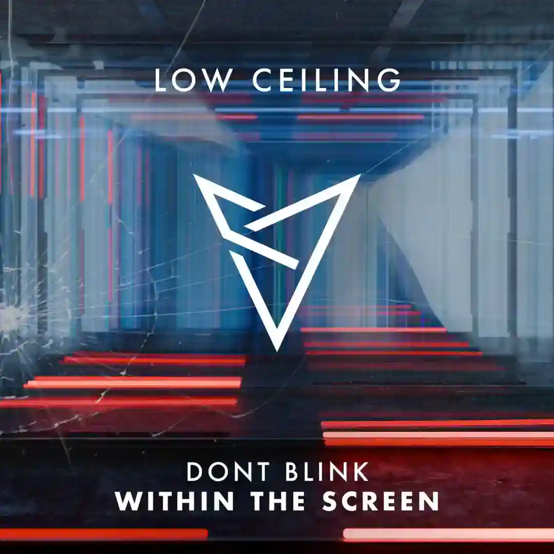 WITHIN THE SCREEN cover