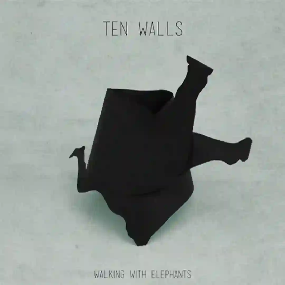 Walking With Elephants (Original Mix) cover