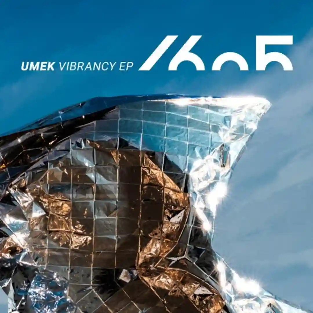 Vibrancy (Original Mix) cover
