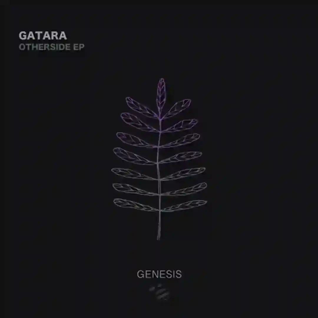 Otherside (Original Mix) cover