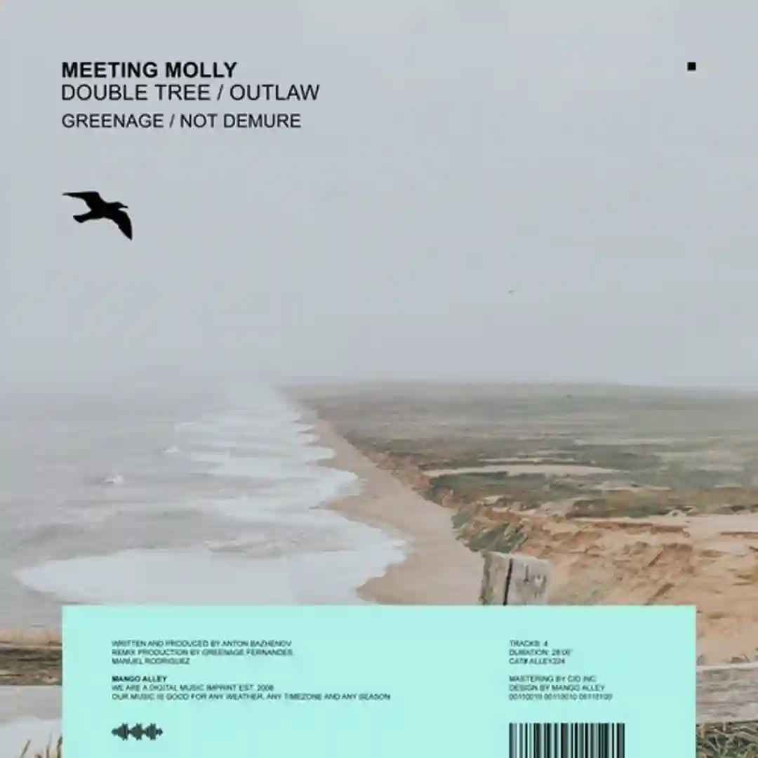 Outlaw (Not Demure Remix) cover