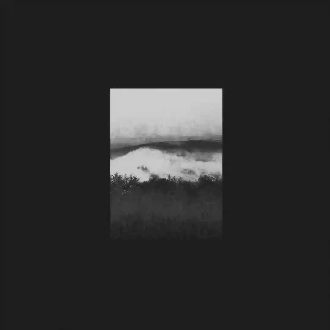 Leftina / Osha cover