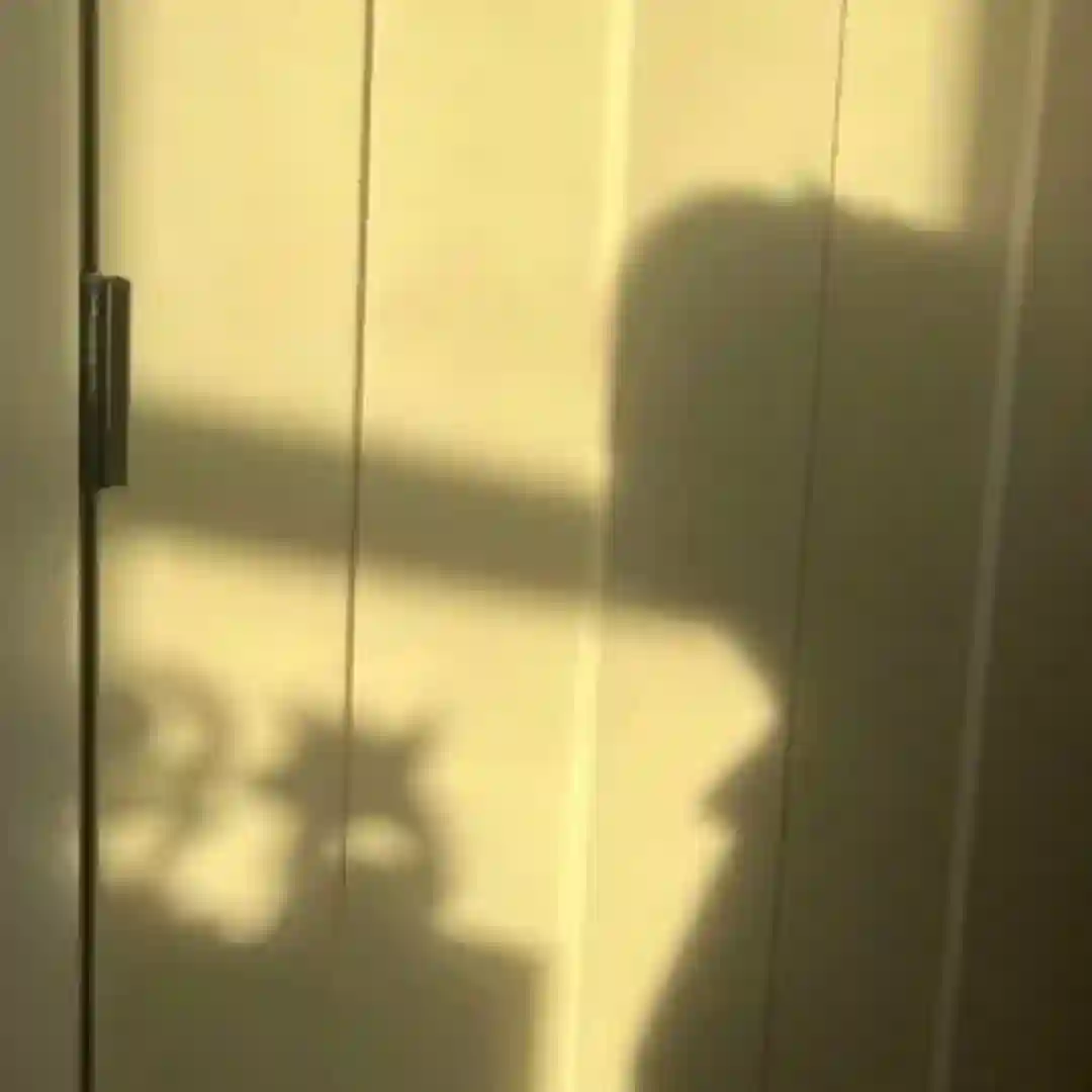 california cover