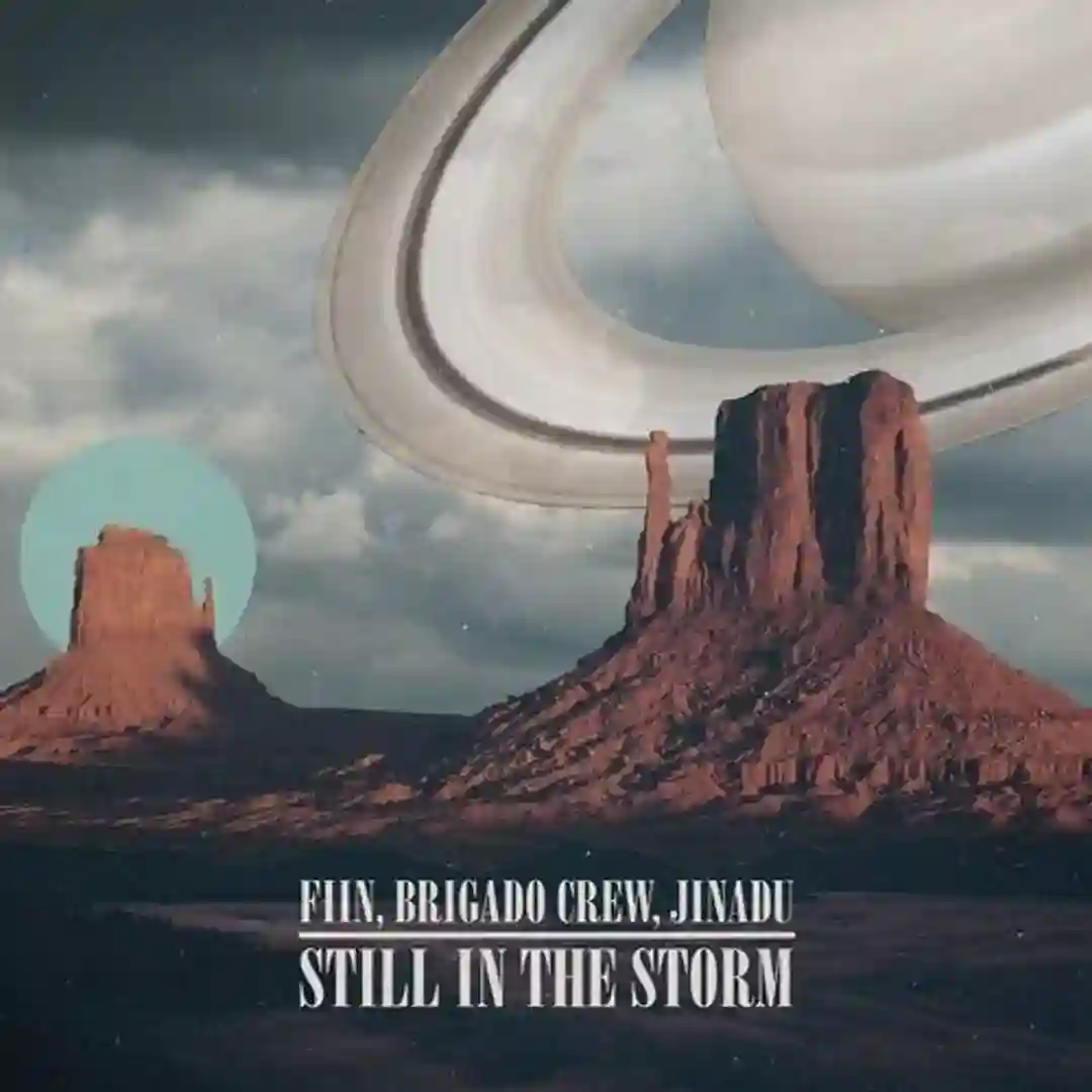 Still In The Storm (Extended Mix) cover