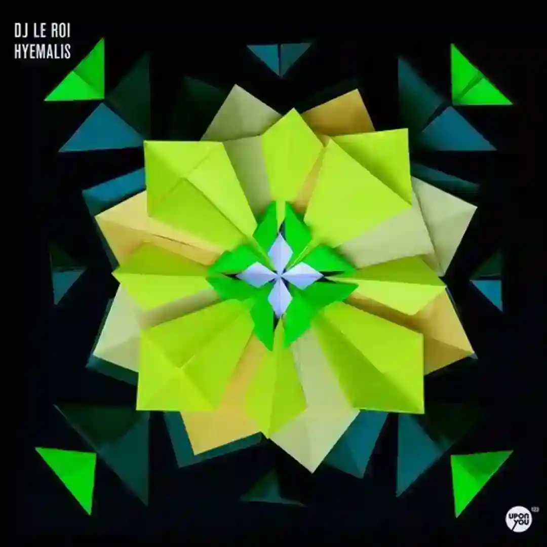 Hyemalis (Original Mix) cover