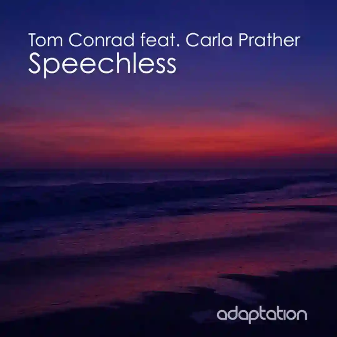Speechless (Garage Dub) cover