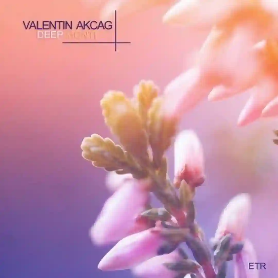 Deep Monti (Original Mix) cover