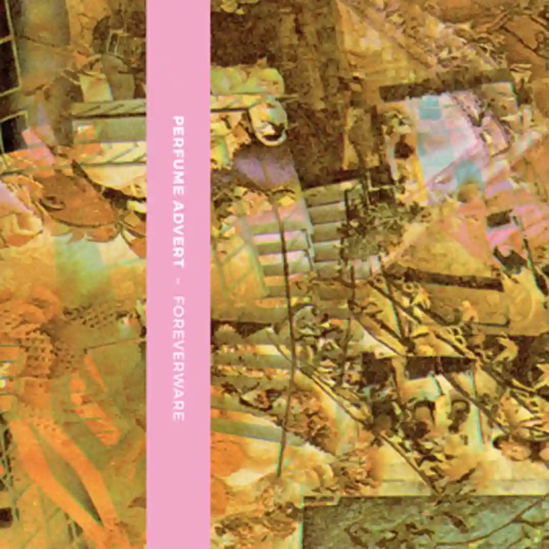 Sanity Check cover