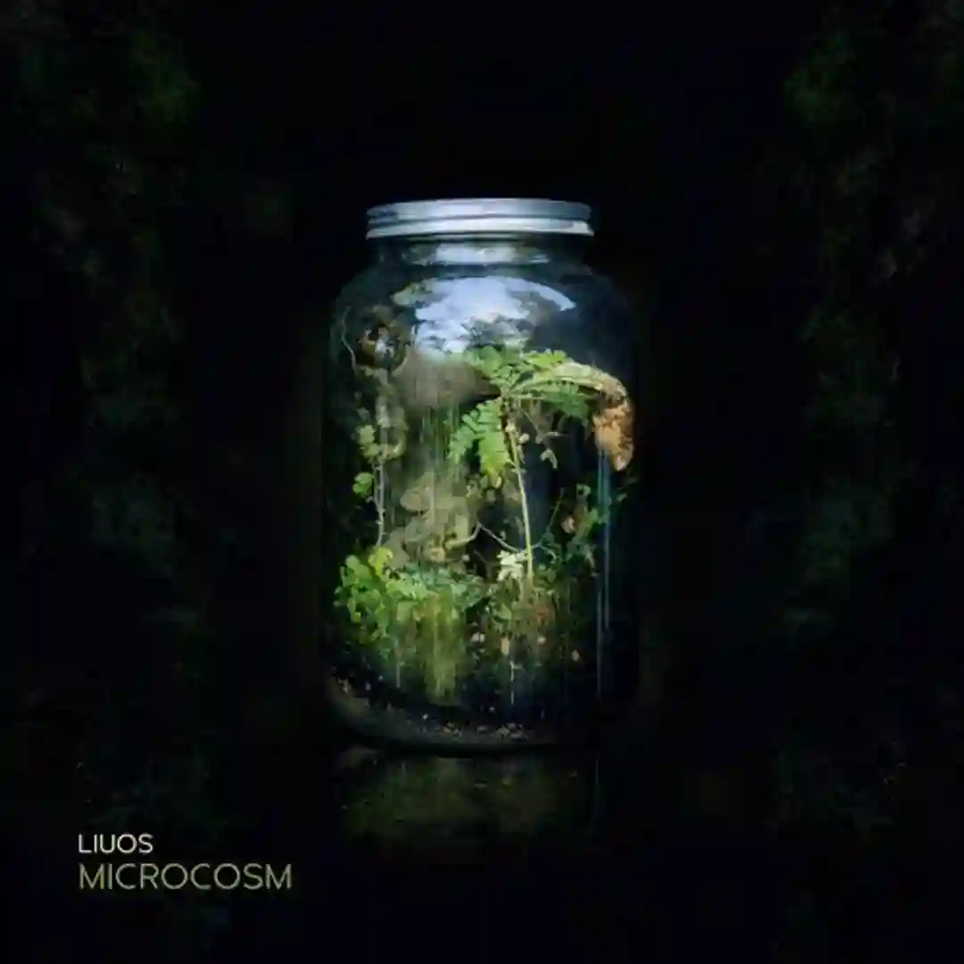 Experimental Area (Original Mix) cover
