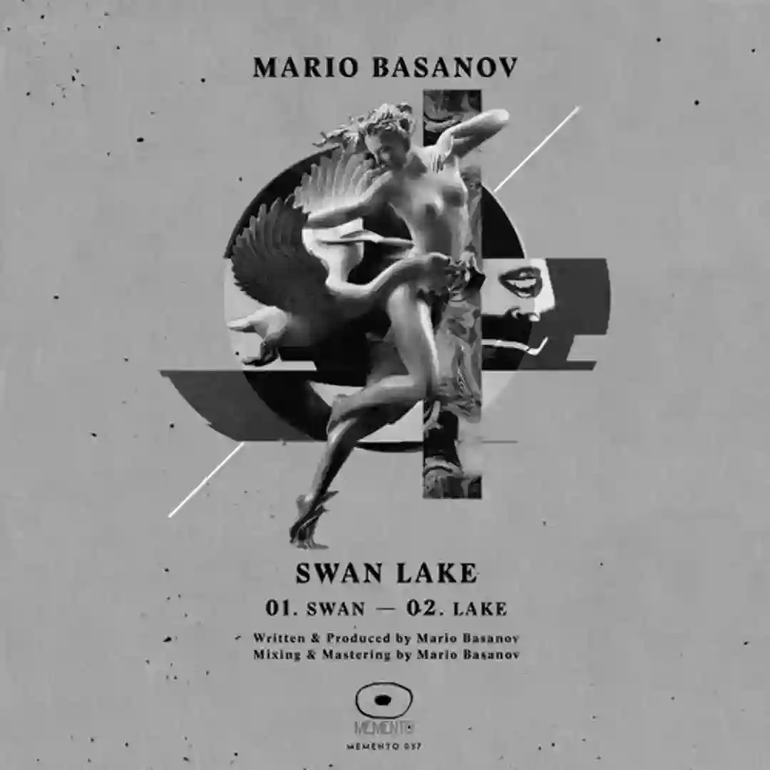 Swan Lake cover