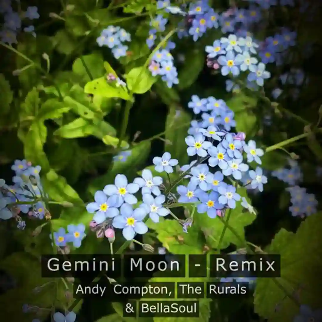 Gemini Moon (DJ Version) cover