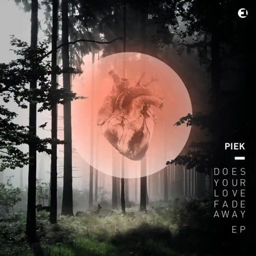 Fame Can Buy Love cover