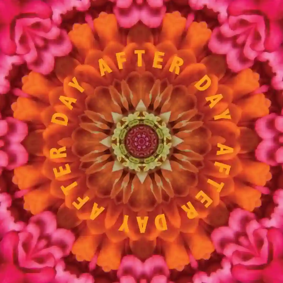 Day After Day cover