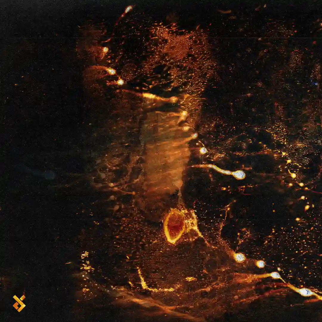 Artefacts (Original Mix) cover