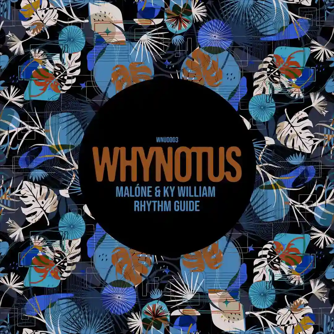 Rhythm Guide (Original Mix) cover