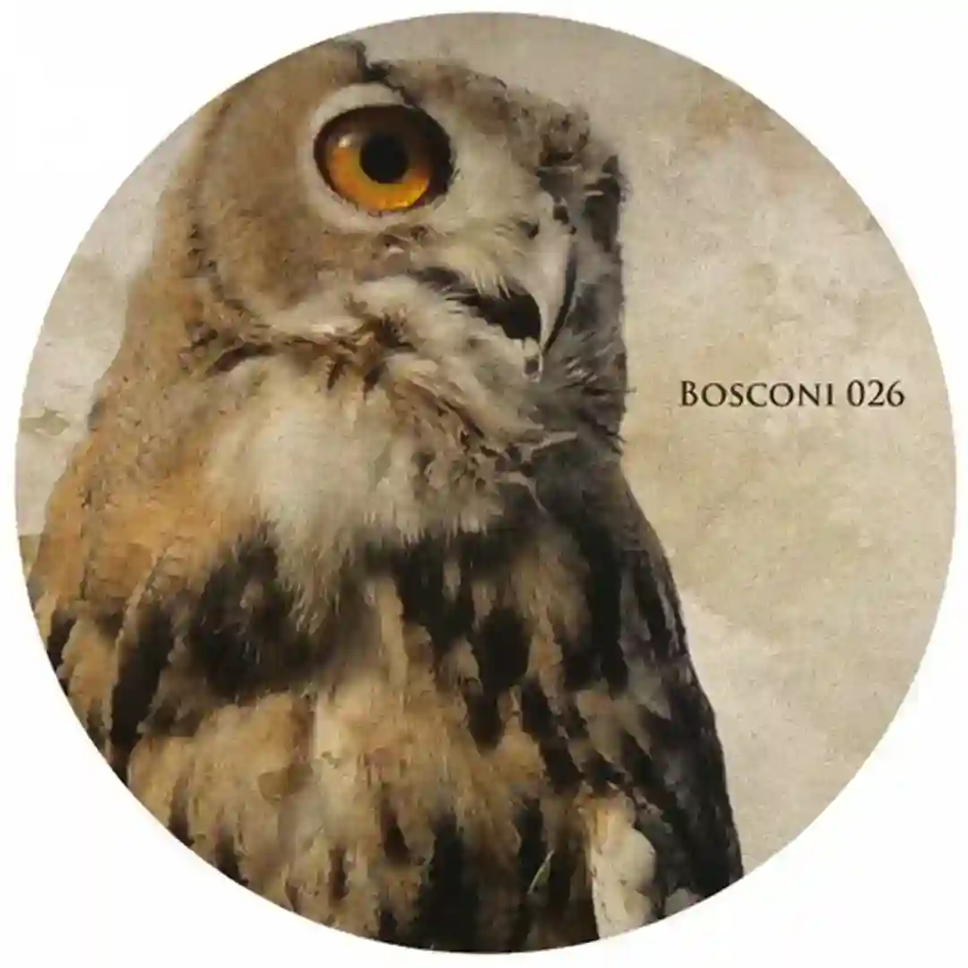 Driveways EP cover