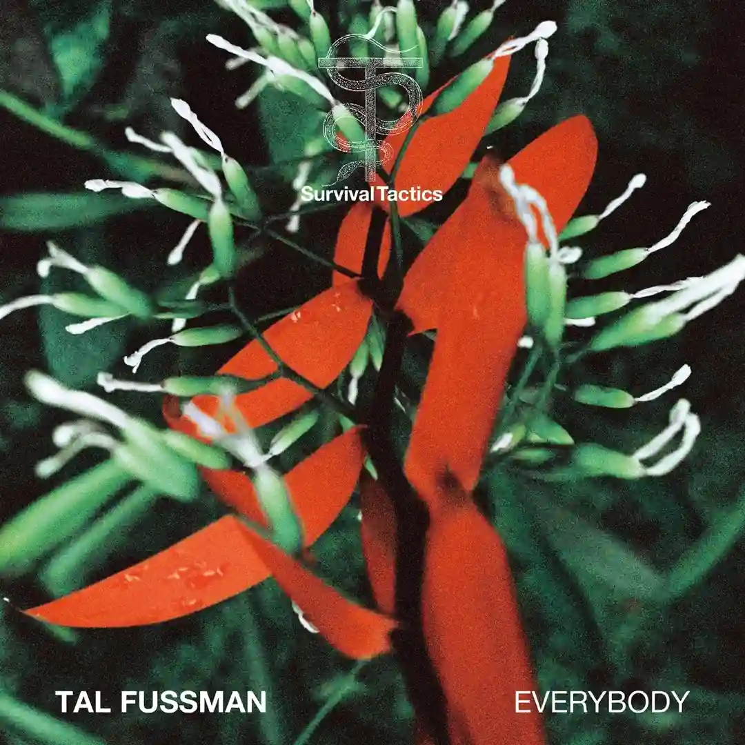 Everybody (Elisa Bee Remix) cover