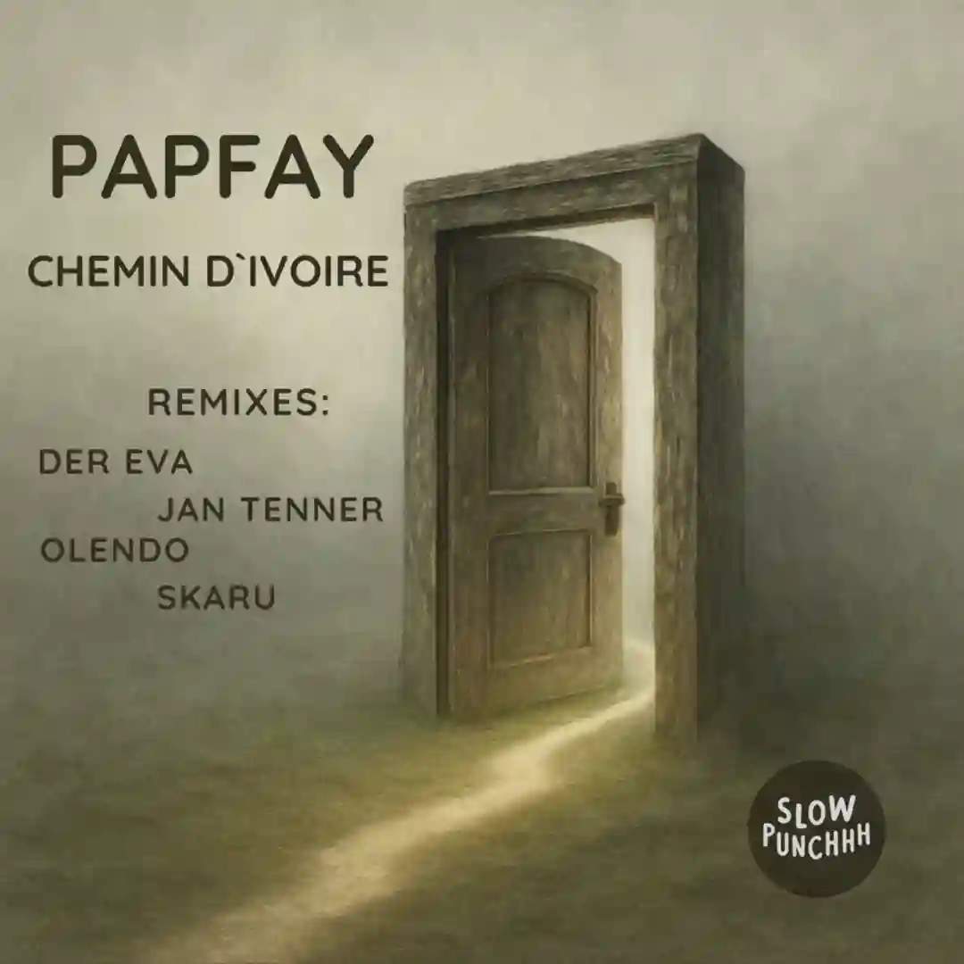 Chemin D´Ivoire (Skaru Remix) cover