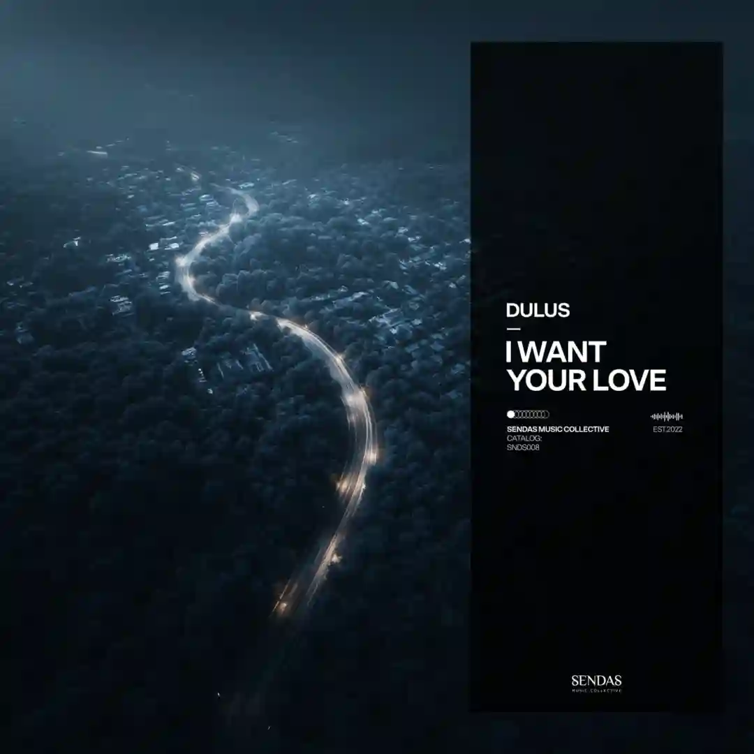 I Want Your Love cover