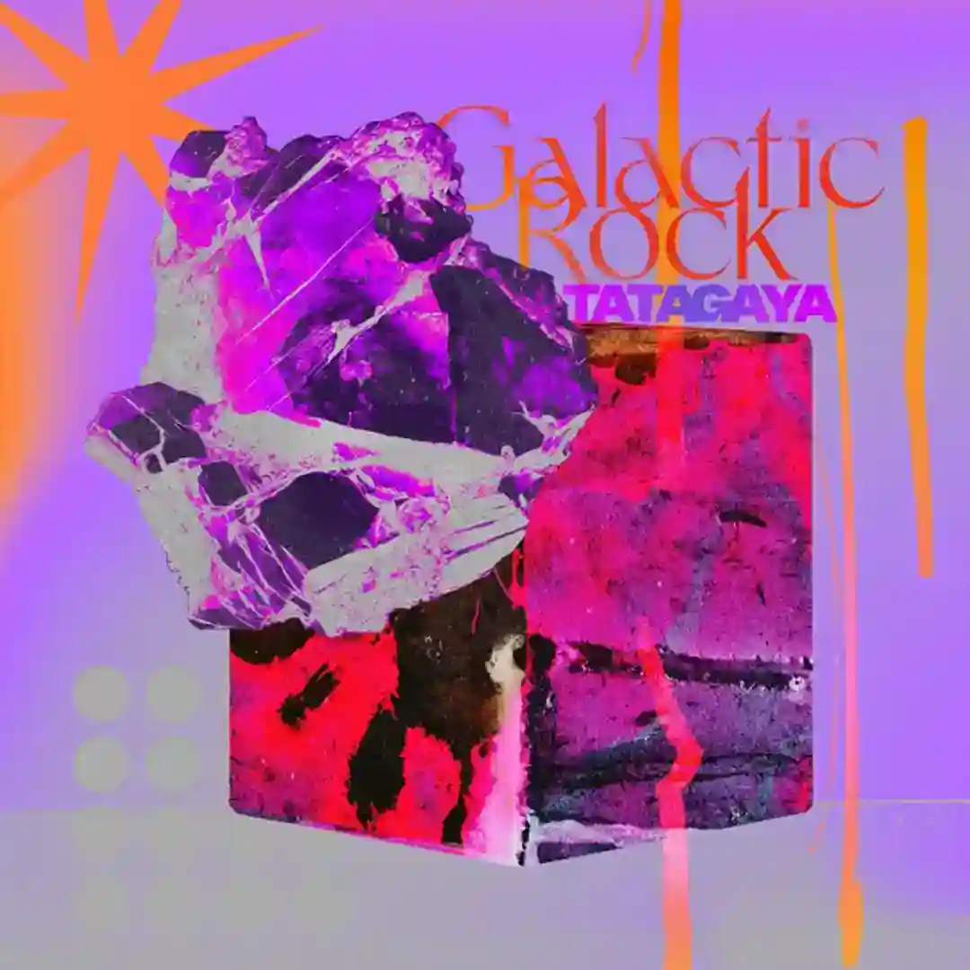 Mr. Squelch (Original Mix) cover