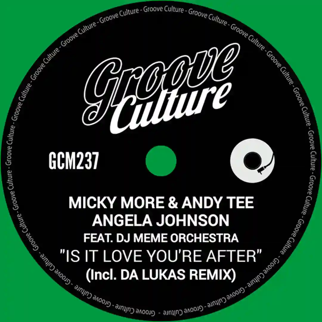 Is It Love You're After (Da Lukas Remix Extended) cover