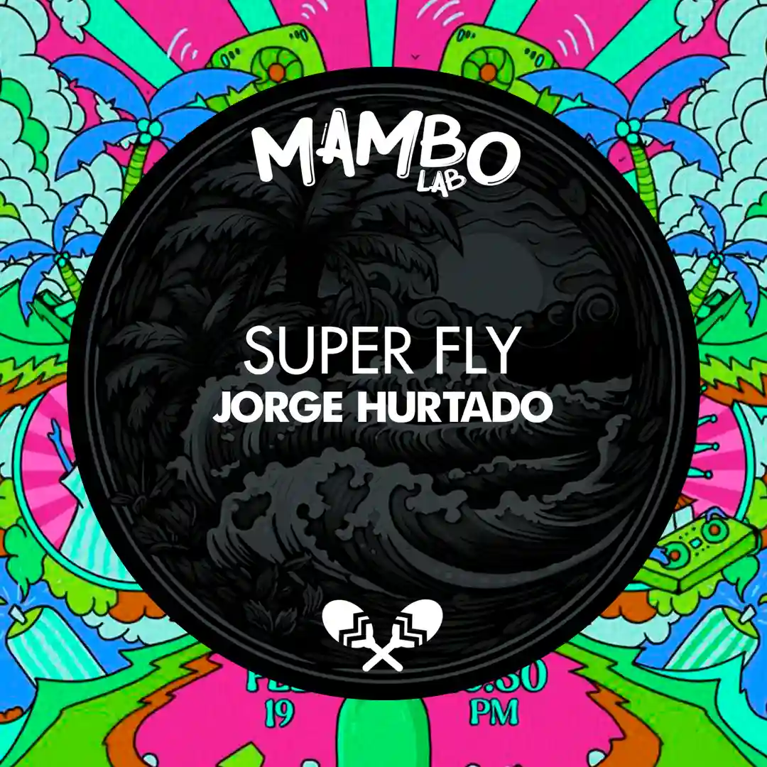 Super Fly (Original Mix) cover