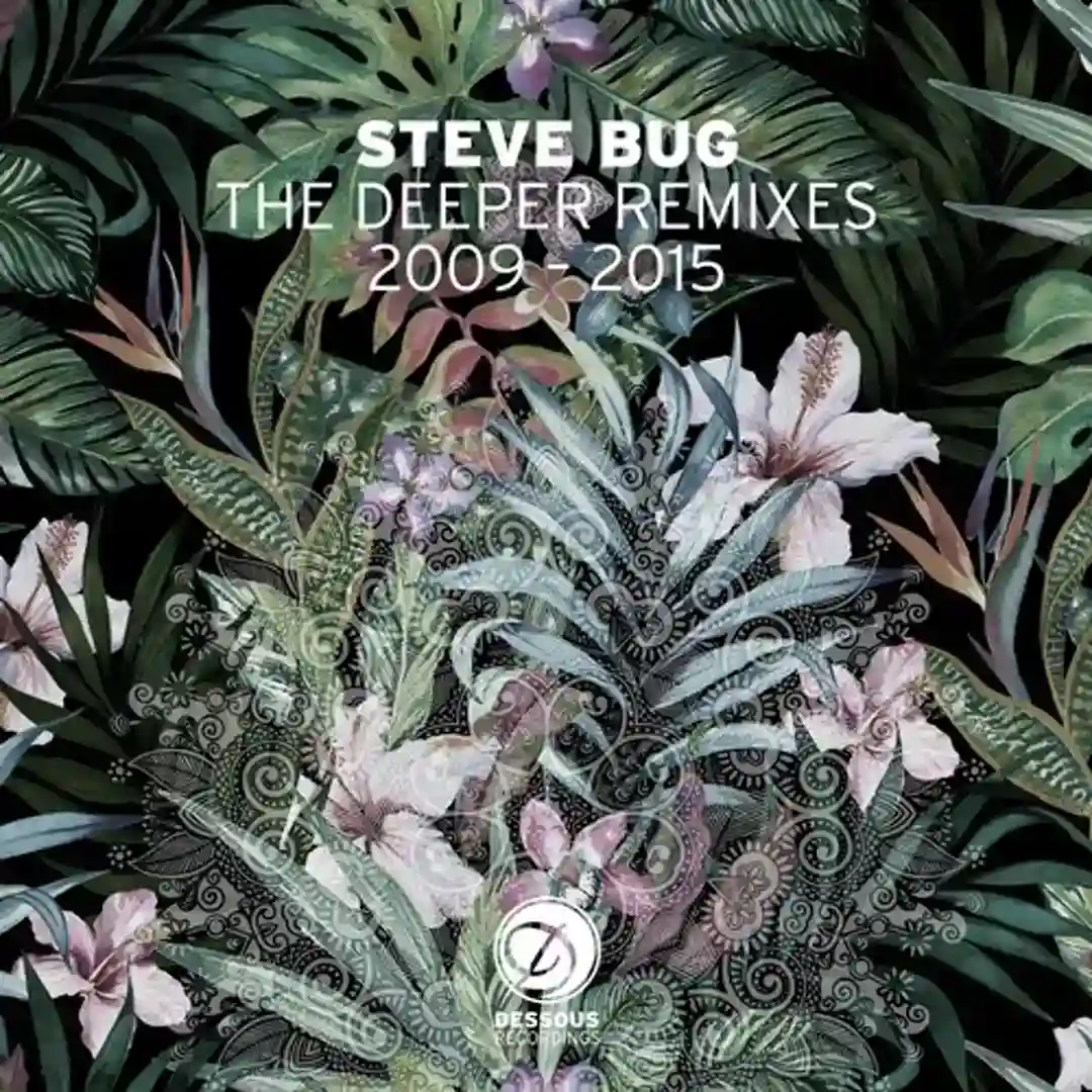 The Long Run (Steve Bug's Vocal Mix) cover