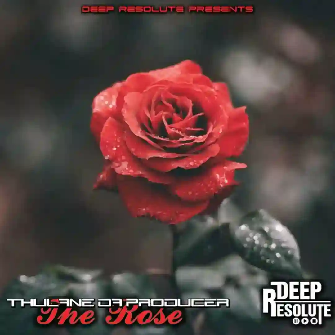 The Rose cover