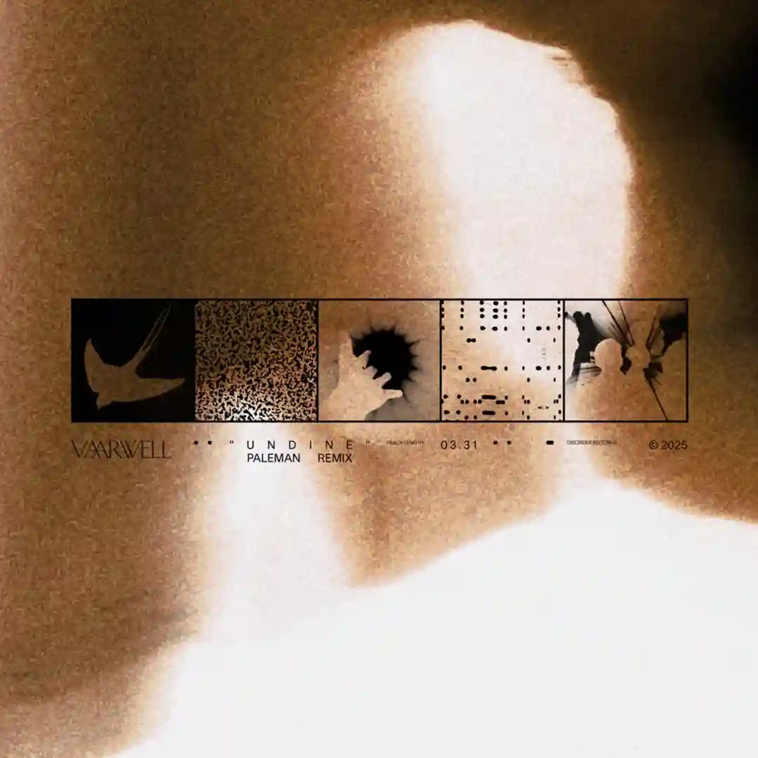 undine (Paleman Remix) cover