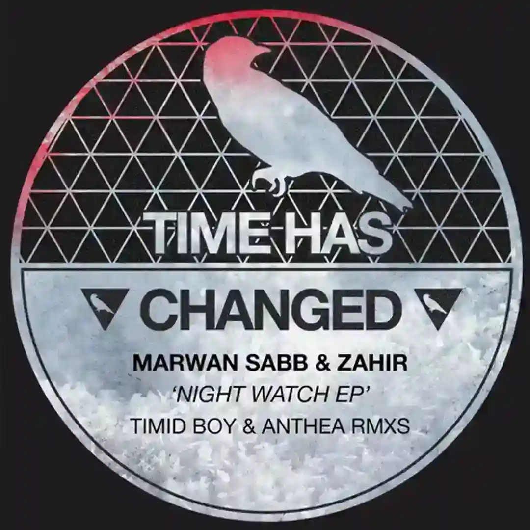 Night Watch (Anthea Remix) cover