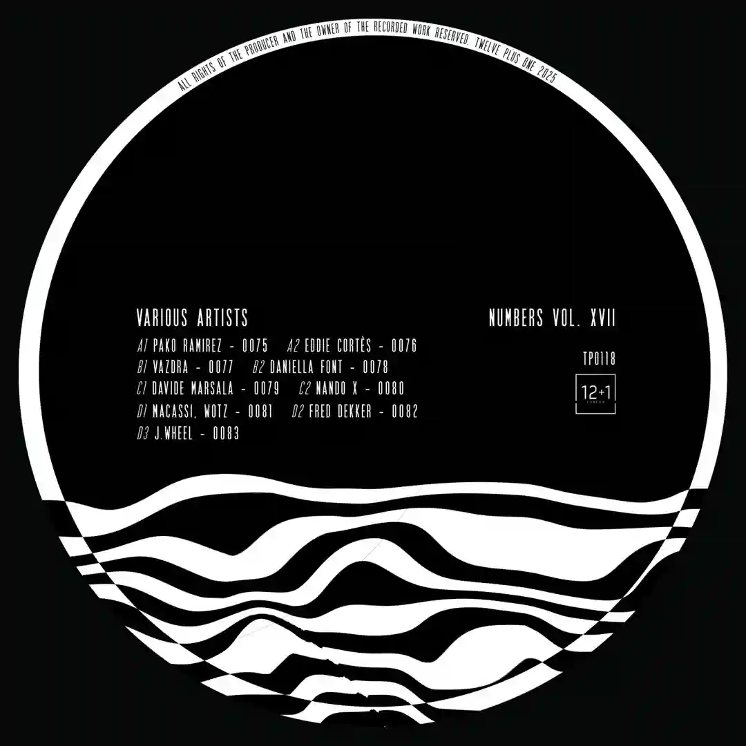 0081 (Original Mix) cover