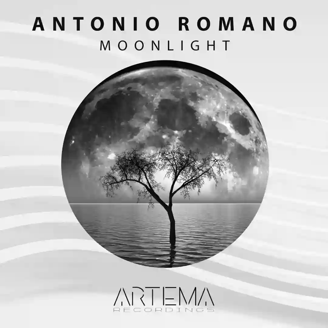 Moonlight (Original Mix) cover