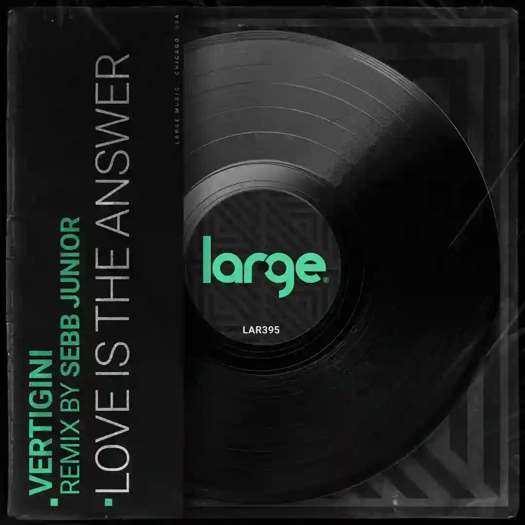 Love Is The Answer (Sebb Junior Remix) cover