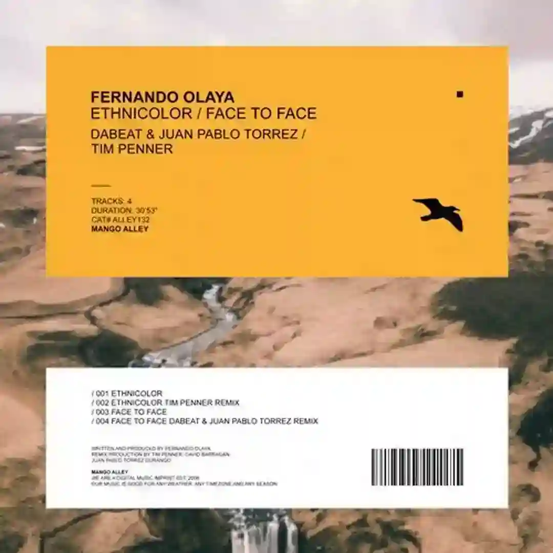 Ethnicolor (Tim Penner Remix) cover