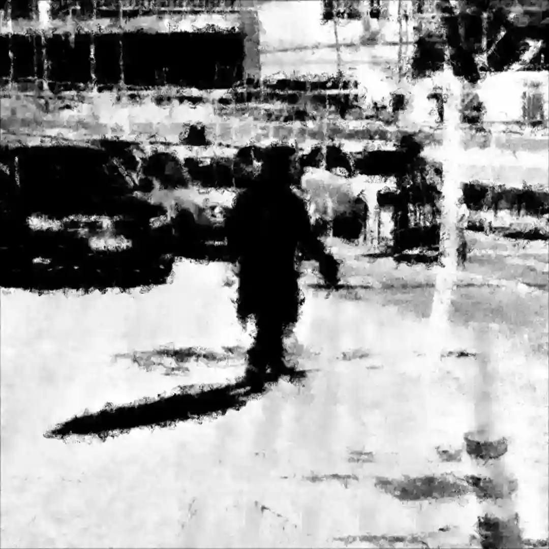 Neuronal cover