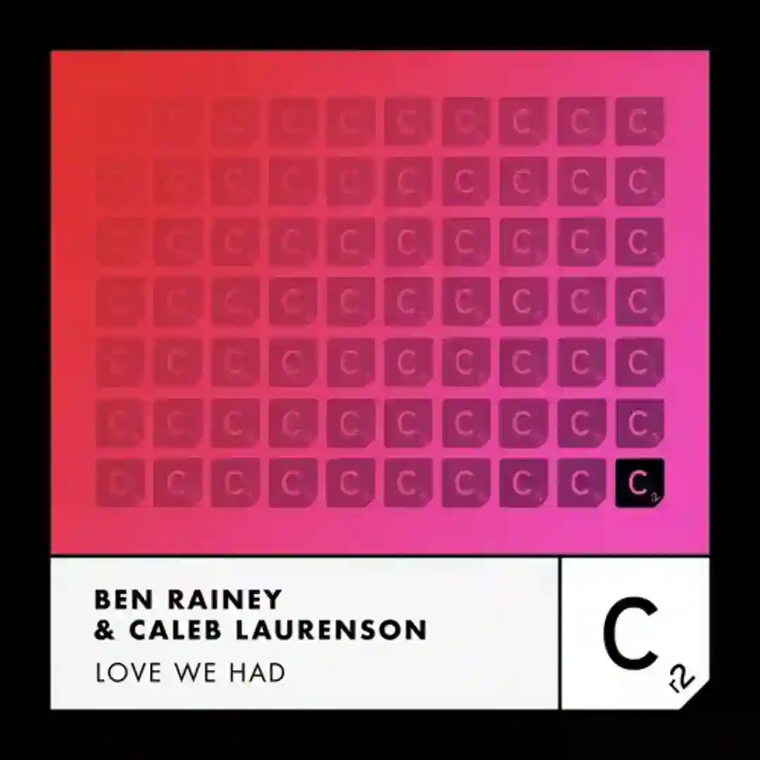 Love We Had (Extended Mix) cover